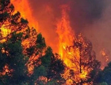 Φωτιά κοντά στο στρατόπεδο Καποτά στο Μενίδι - Βρέθηκε ένας νεκρός